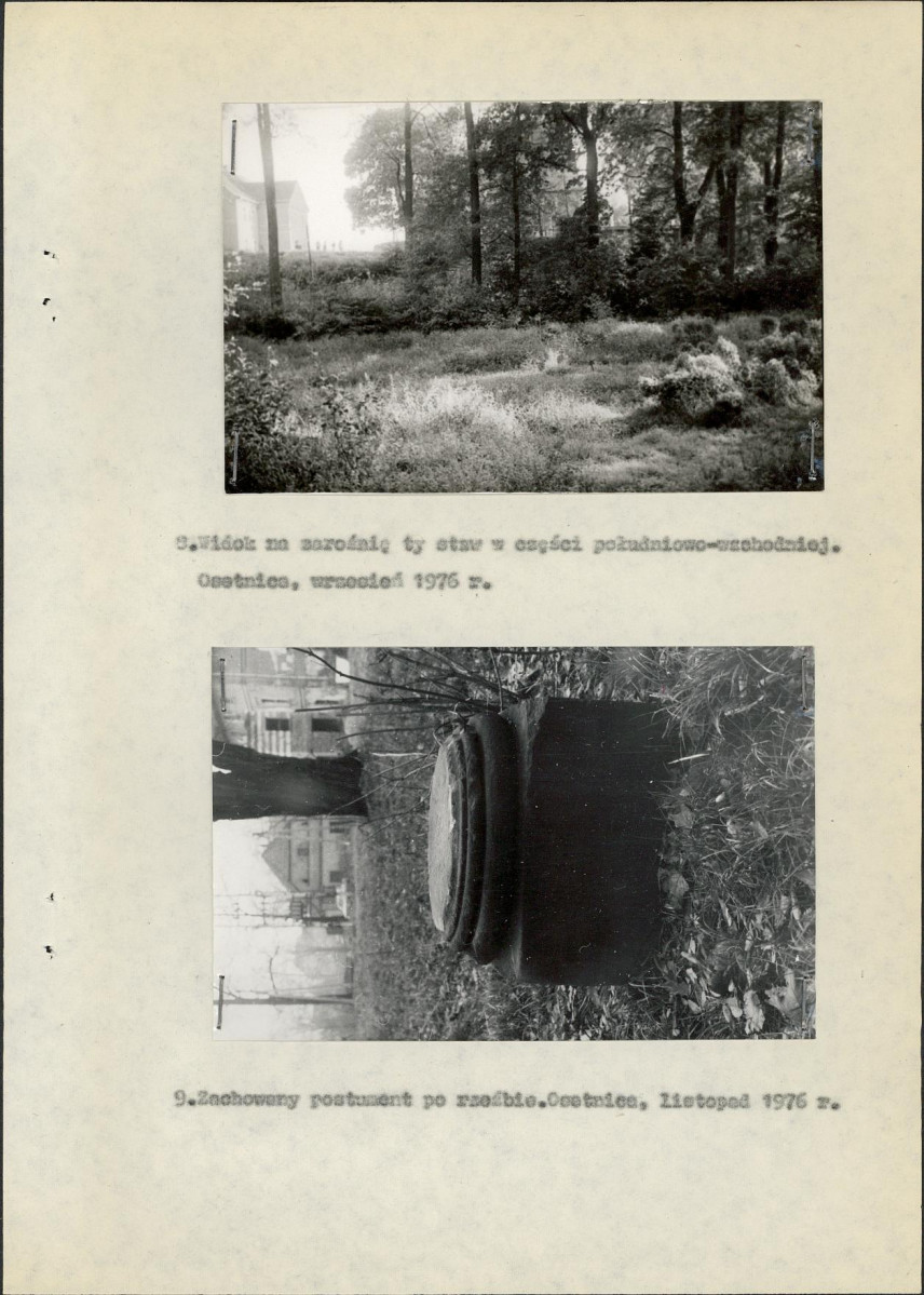 Ewidencja parkowa, skan nr 18