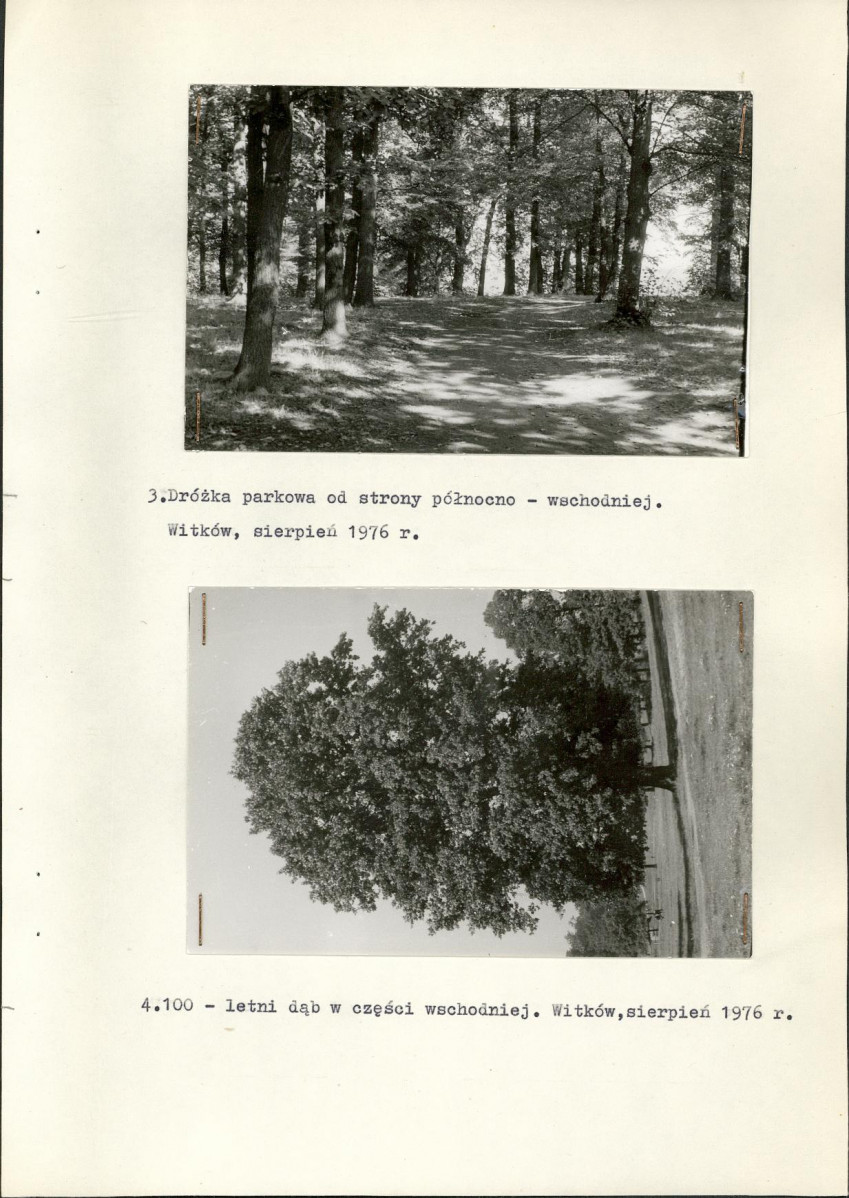 Ewidencja parkowa, skan nr 14