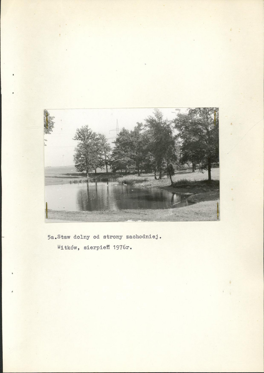 Ewidencja parkowa, skan nr 16