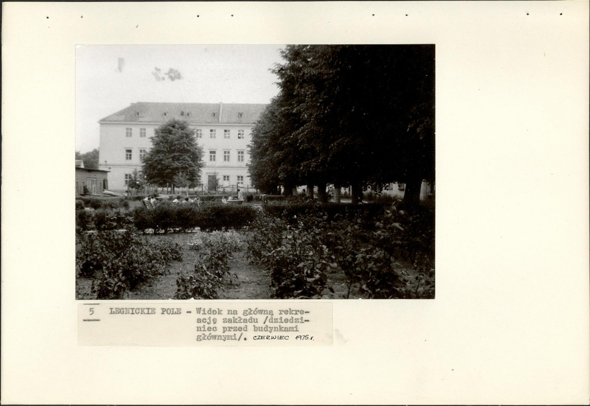 Ewidencja parkowa, skan nr 28