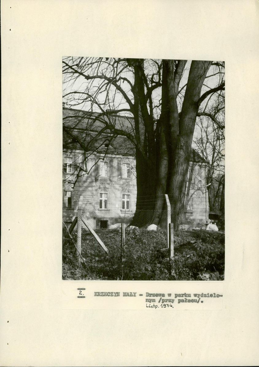Ewidencja parkowa, skan nr 19