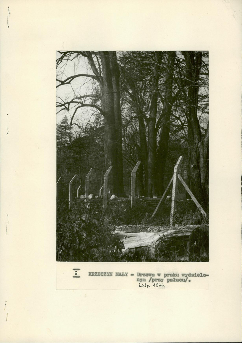 Ewidencja parkowa, skan nr 23