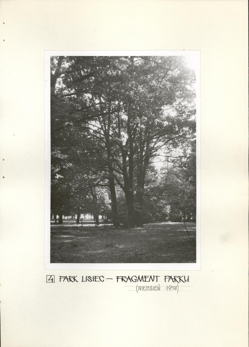 Ewidencja parkowa, skan nr 26