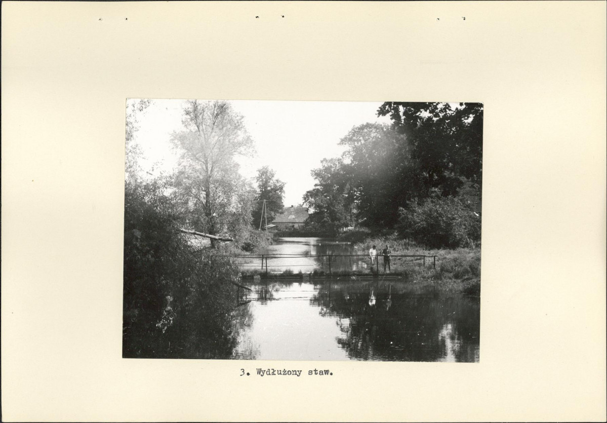 Ewidencja parkowa, skan nr 14