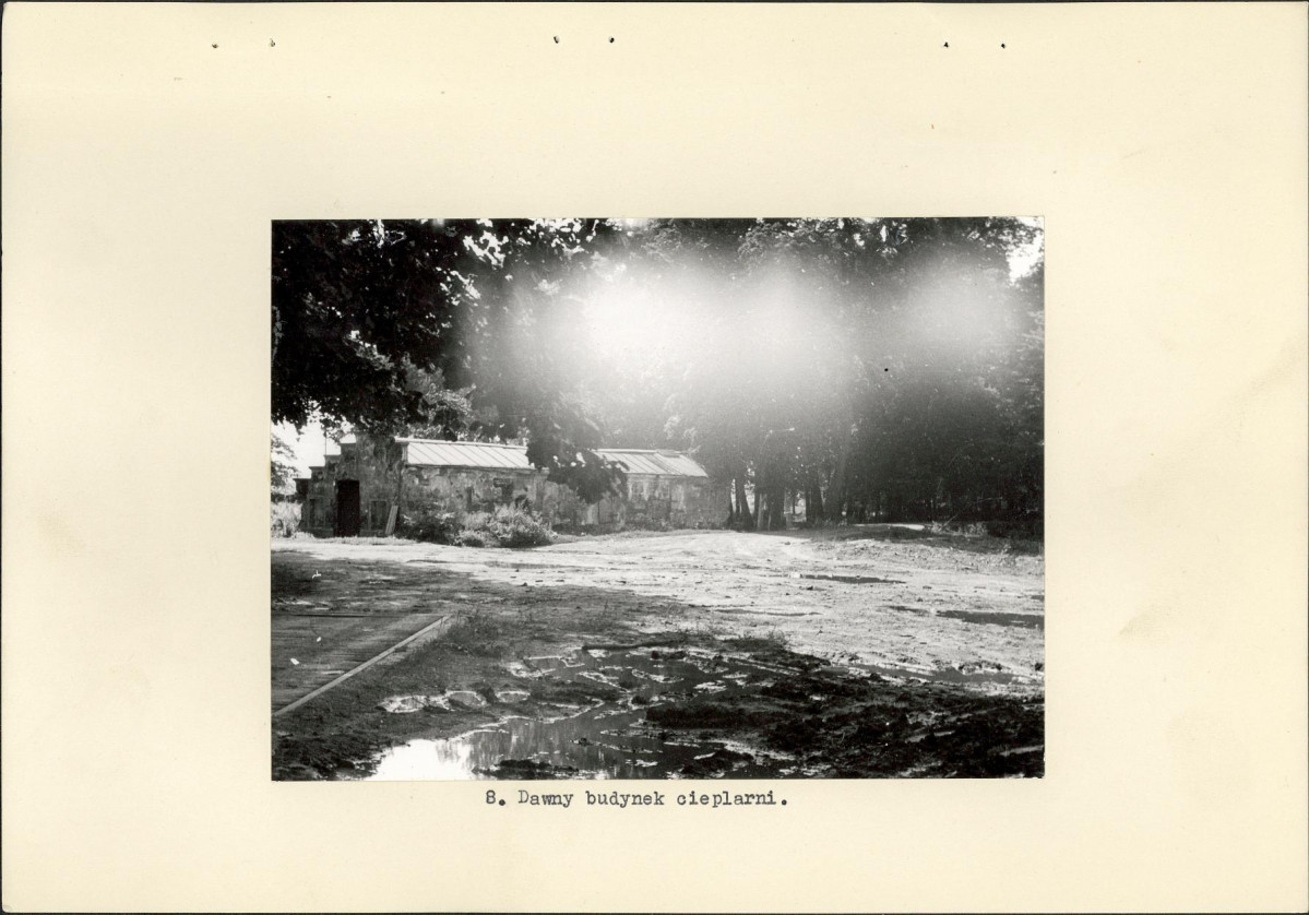 Ewidencja parkowa, skan nr 19