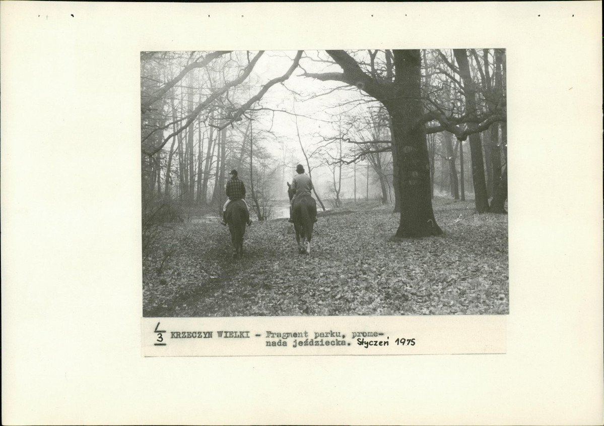 Ewidencja parkowa, skan nr 23