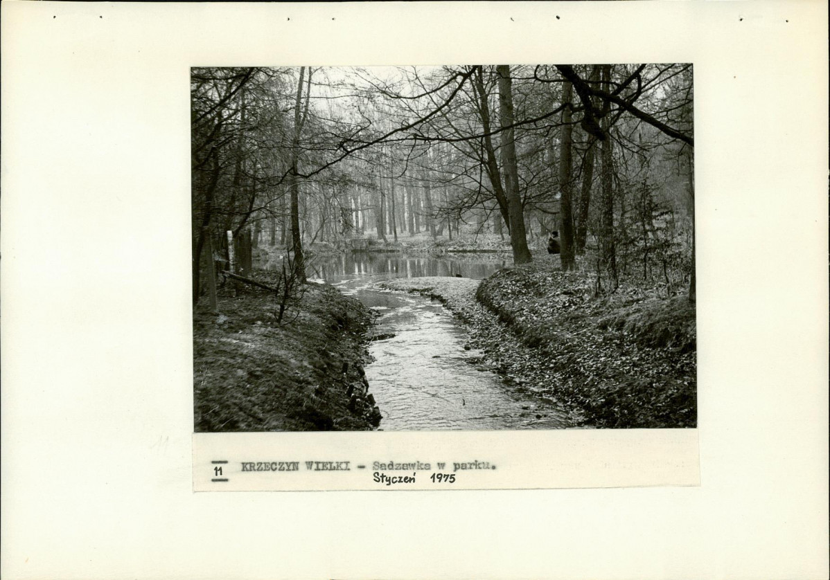 Ewidencja parkowa, skan nr 31