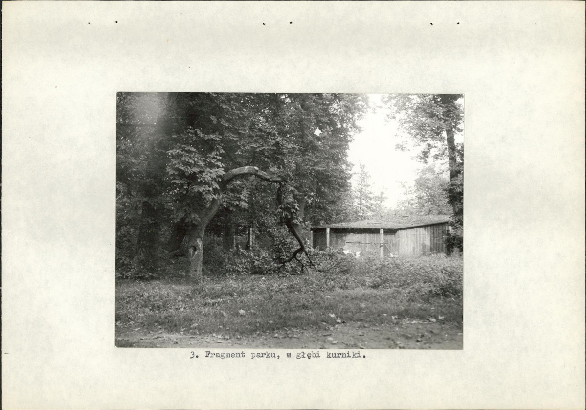 Ewidencja parkowa, skan nr 16