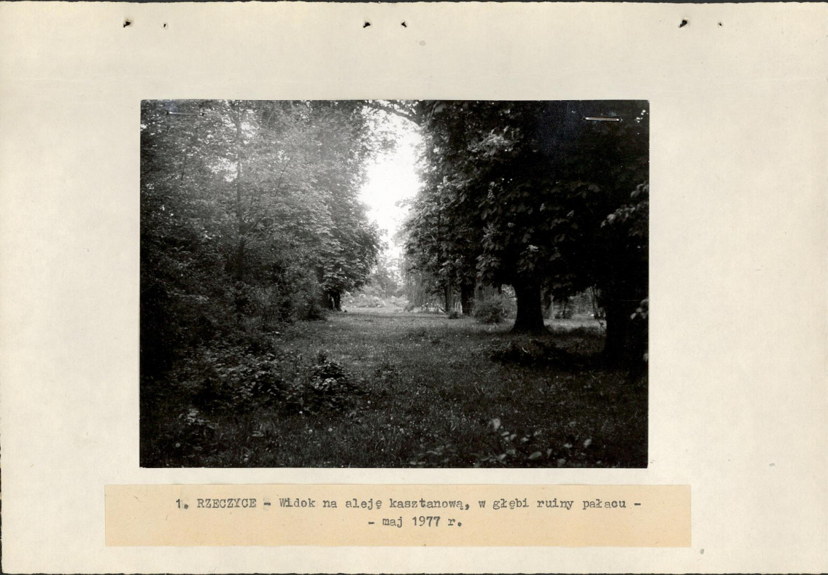 Ewidencja parkowa, skan nr 14