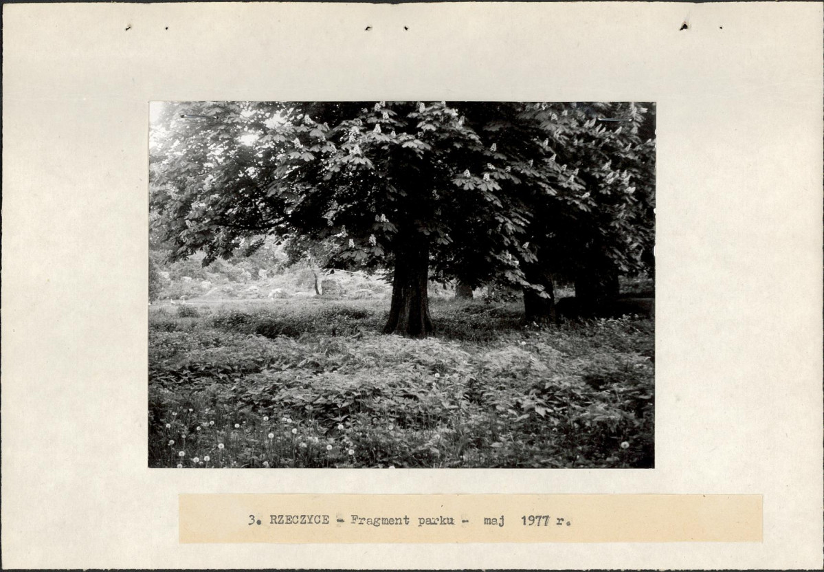 Ewidencja parkowa, skan nr 16