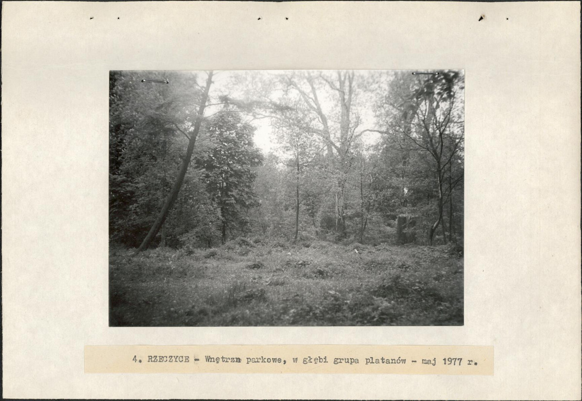 Ewidencja parkowa, skan nr 17