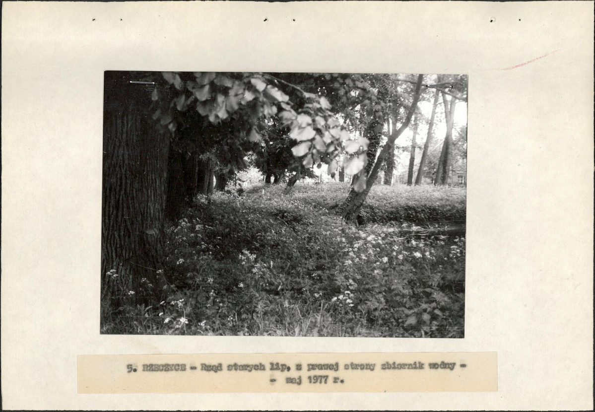 Ewidencja parkowa, skan nr 18