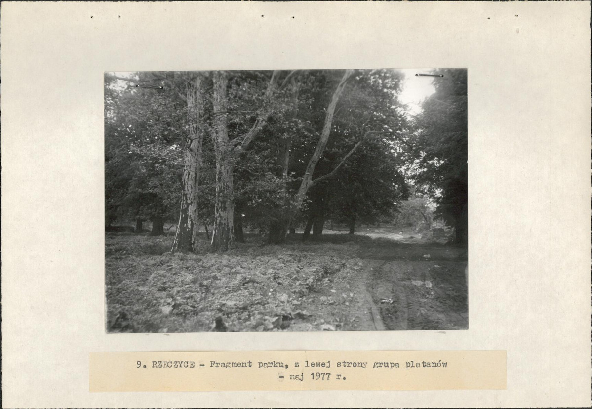 Ewidencja parkowa, skan nr 22
