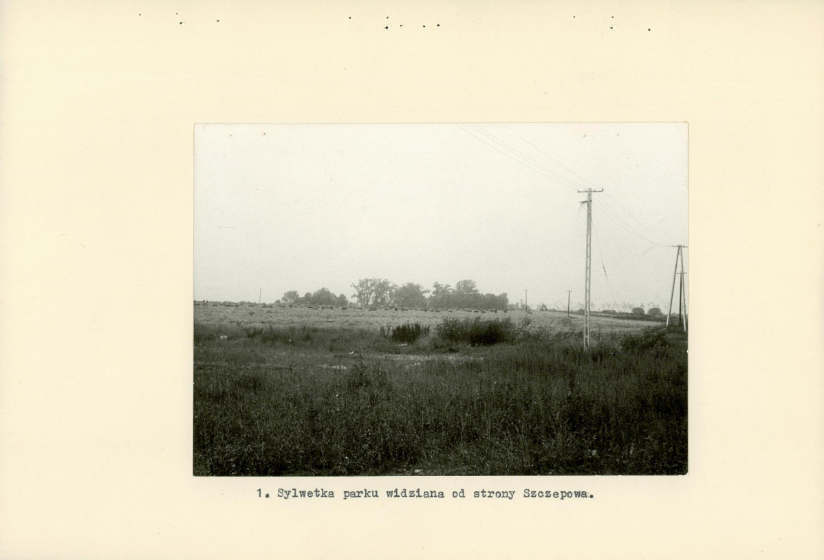 Ewidencja parkowa, skan nr 15