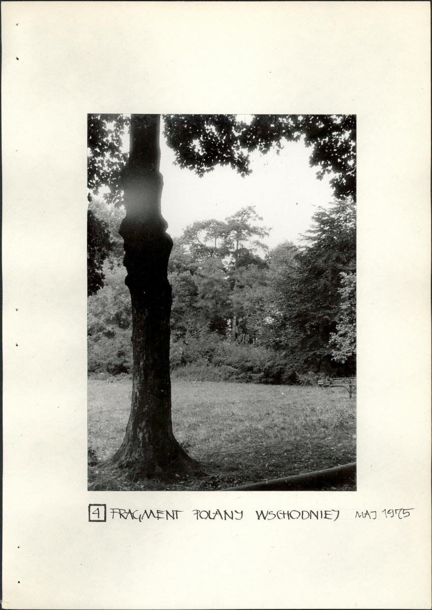 Ewidencja parkowa, skan nr 20