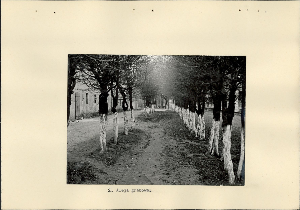 Ewidencja parkowa, skan nr 16