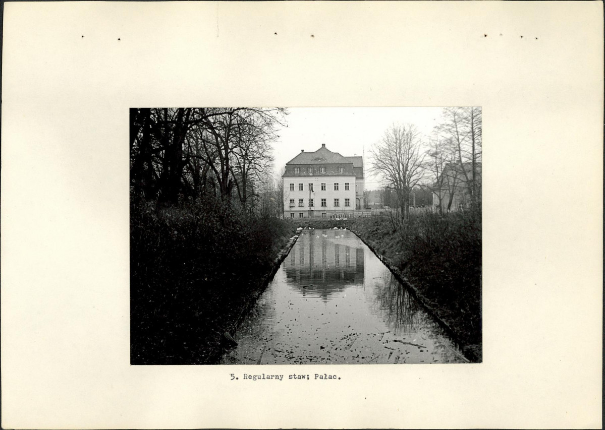 Ewidencja parkowa, skan nr 19