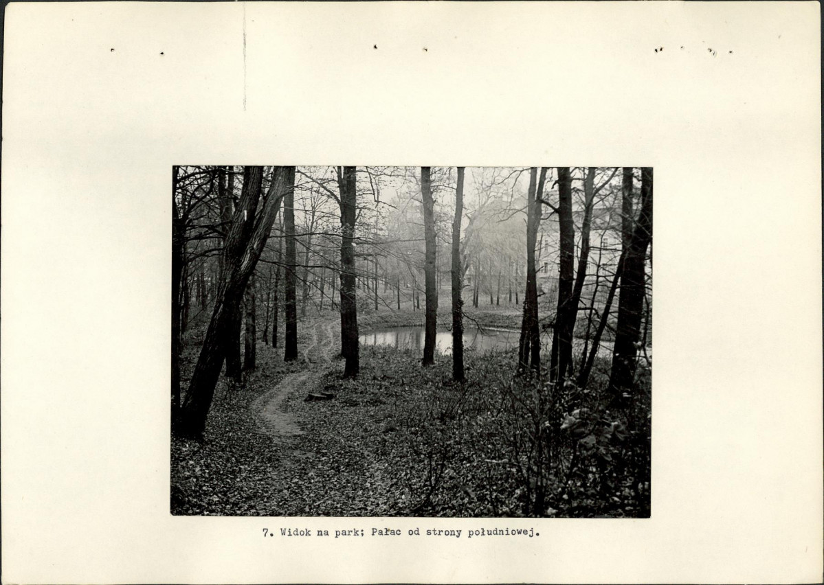 Ewidencja parkowa, skan nr 21