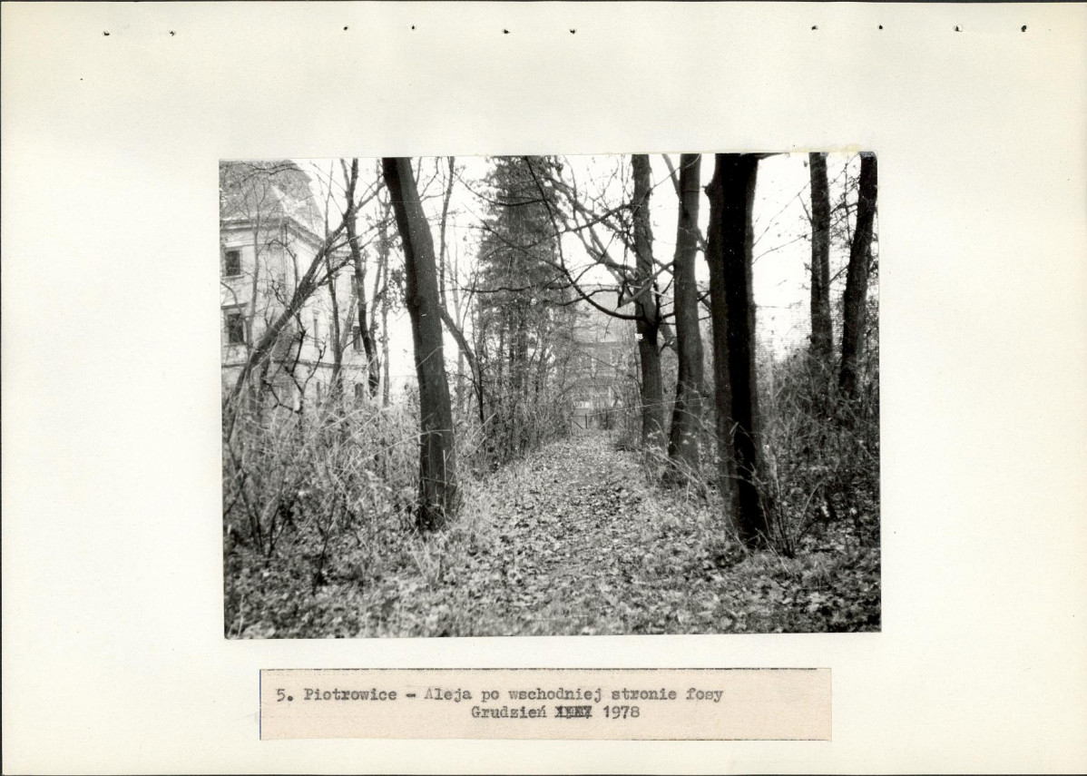 Ewidencja parkowa, skan nr 24