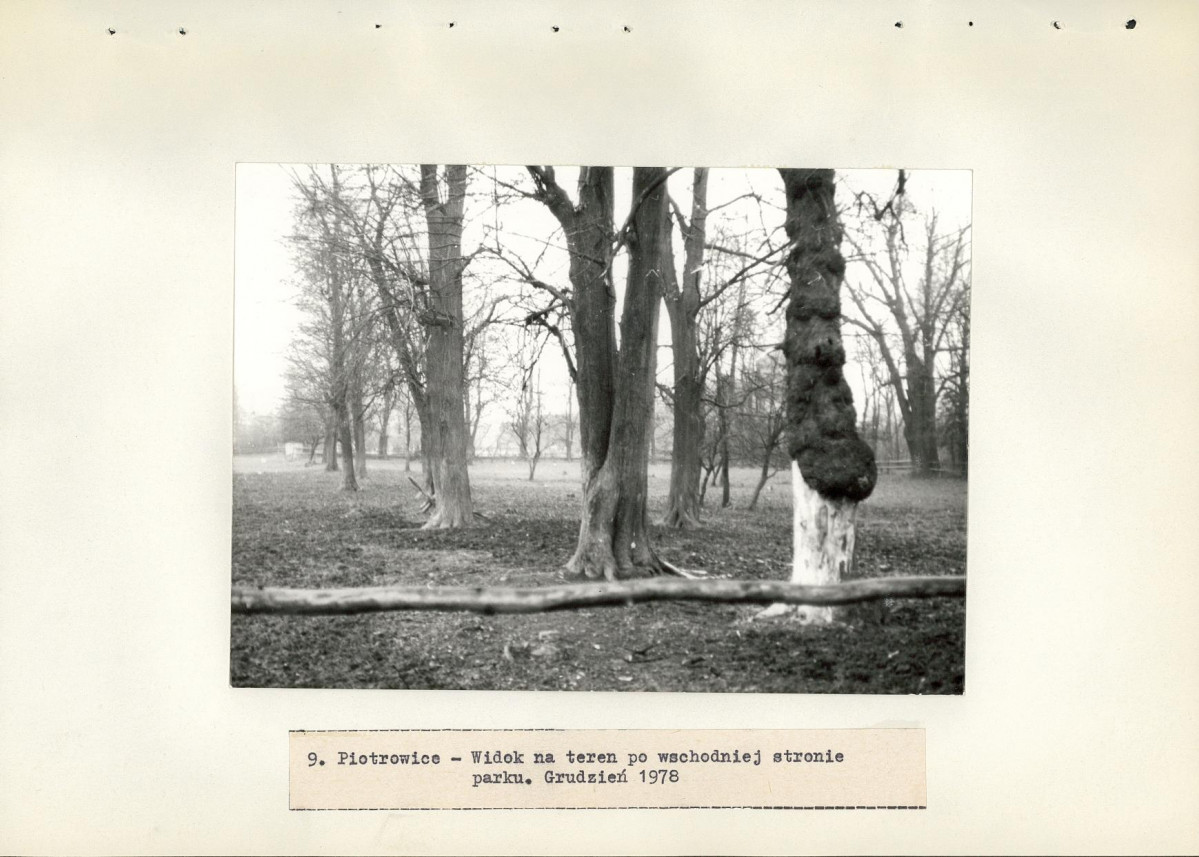 Ewidencja parkowa, skan nr 28