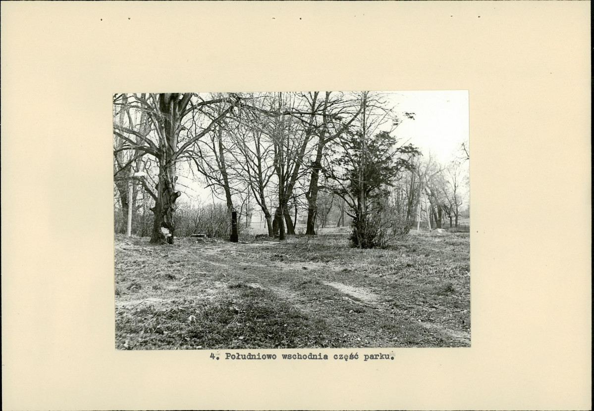 Ewidencja parkowa, skan nr 19
