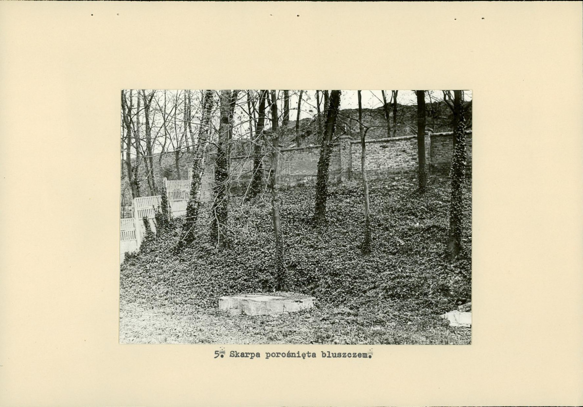 Ewidencja parkowa, skan nr 19