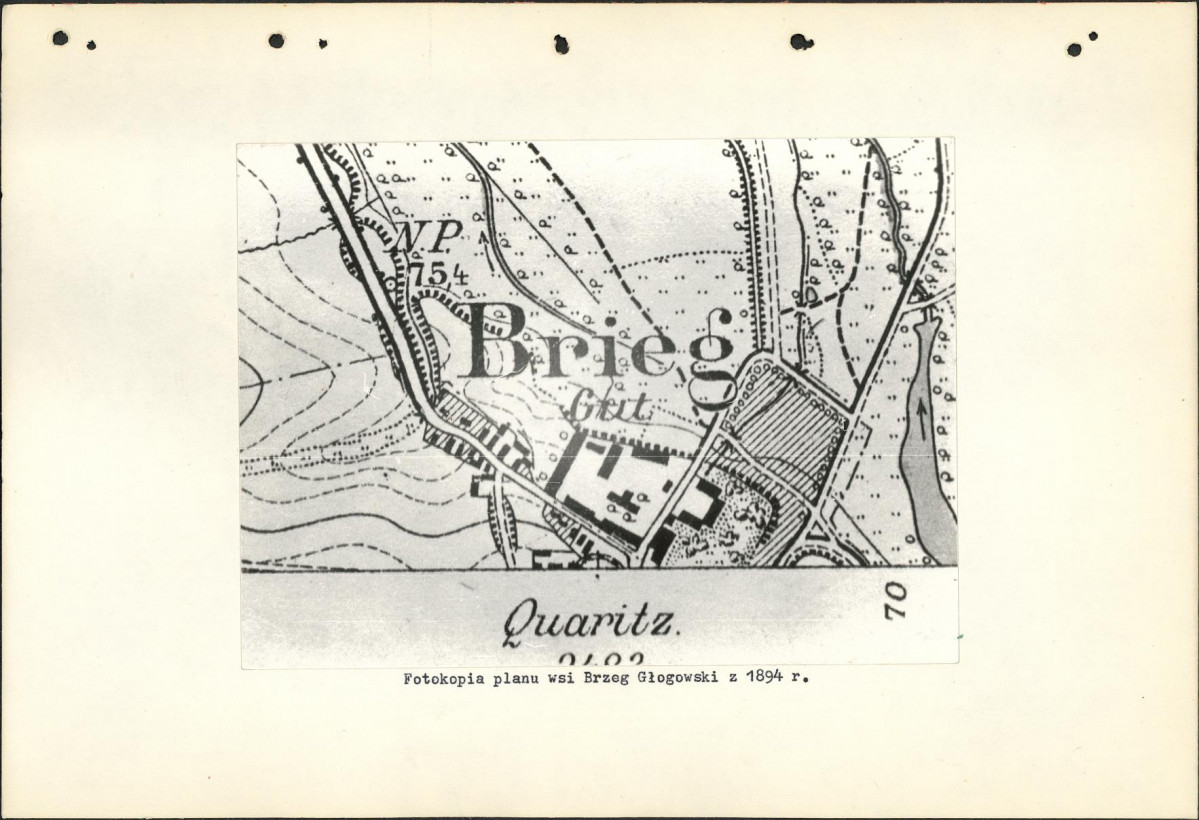 Ewidencja parkowa, skan nr 11