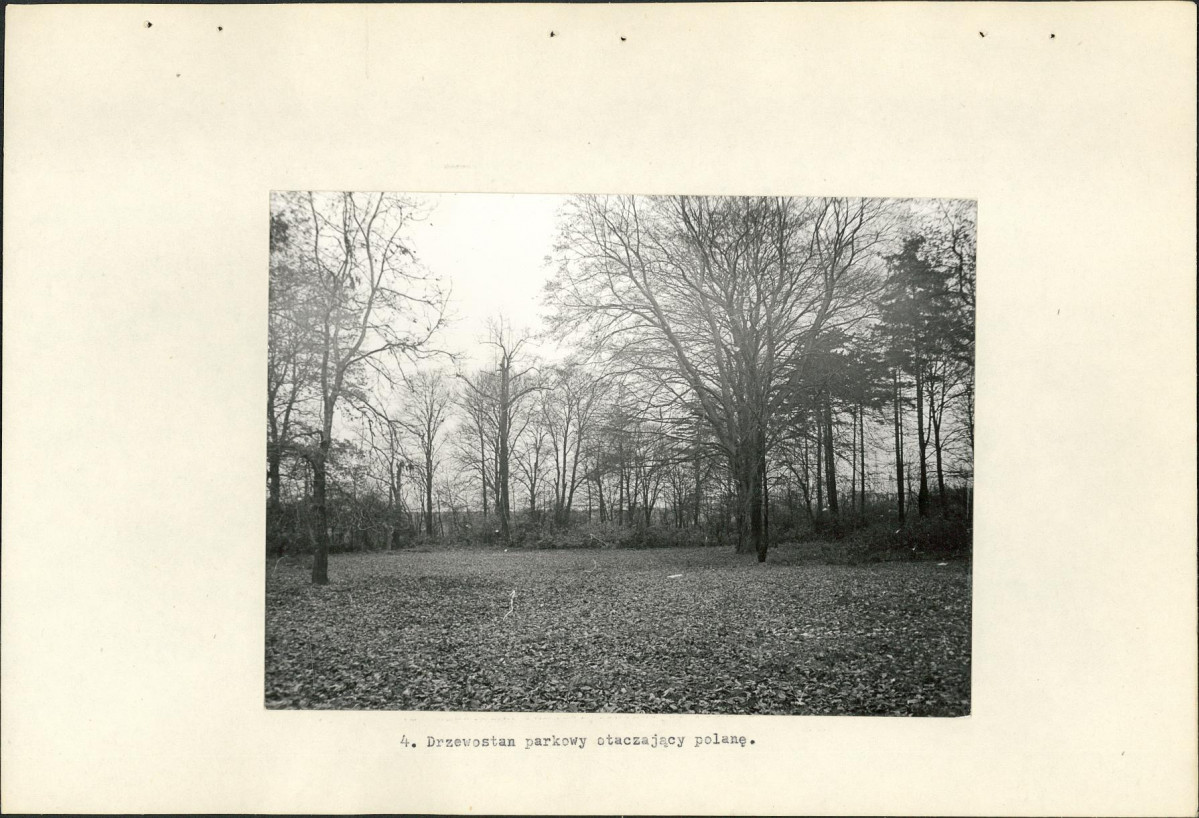 Ewidencja parkowa, skan nr 19
