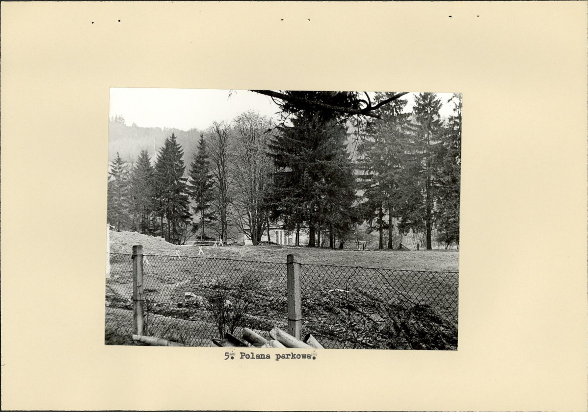 Ewidencja parkowa, skan nr 19