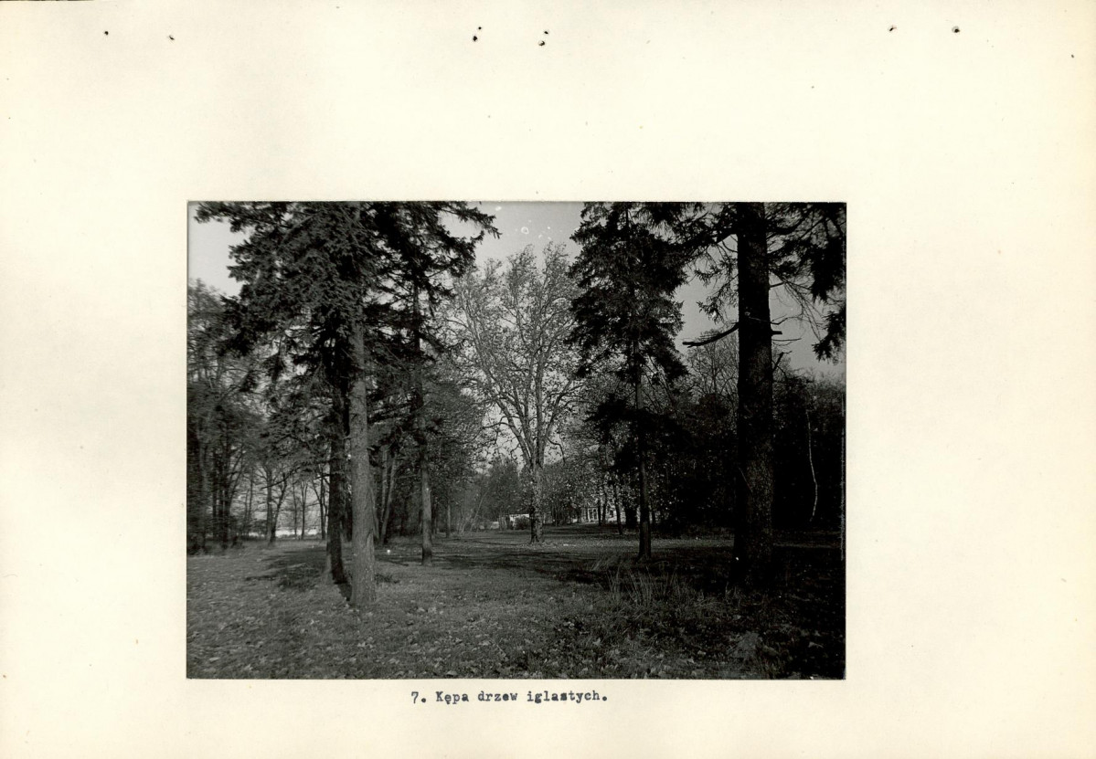 Ewidencja parkowa, skan nr 25