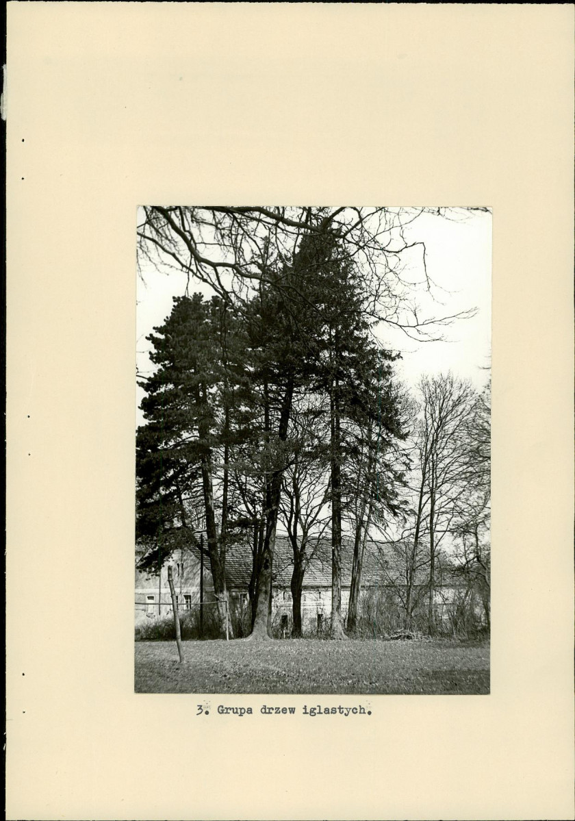Ewidencja parkowa, skan nr 18