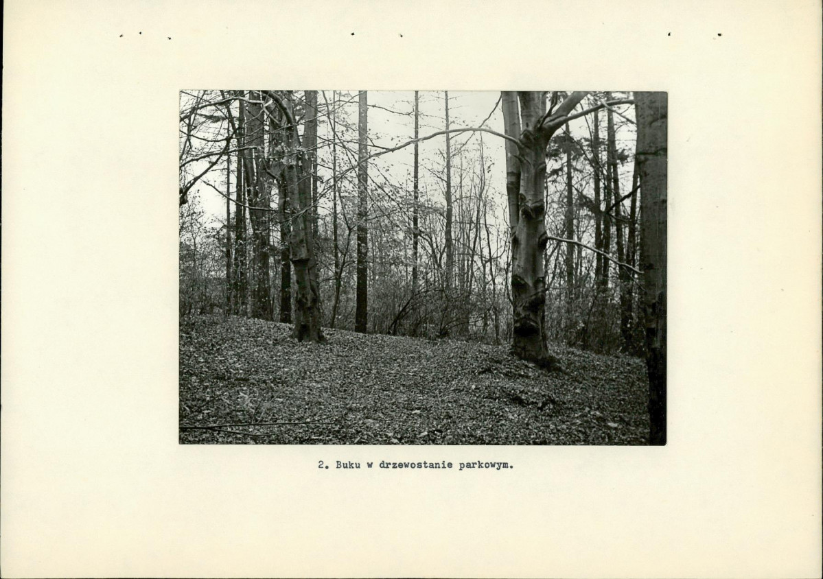 Ewidencja parkowa, skan nr 15