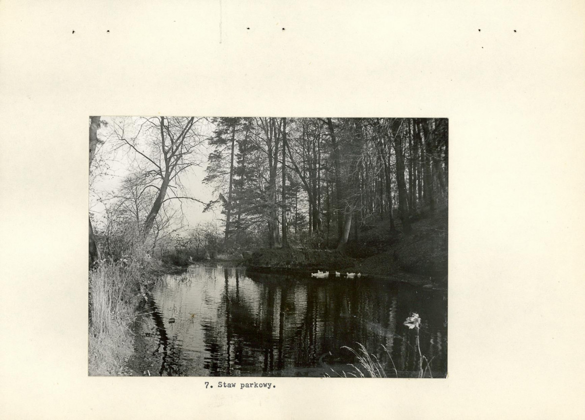 Ewidencja parkowa, skan nr 20