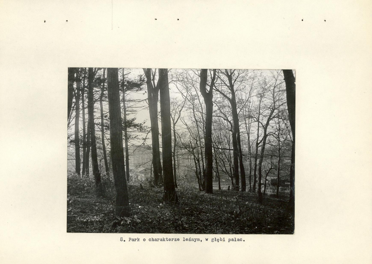 Ewidencja parkowa, skan nr 21