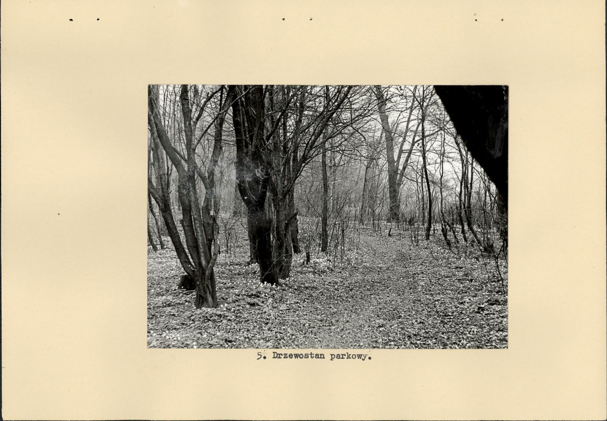 Ewidencja parkowa, skan nr 20