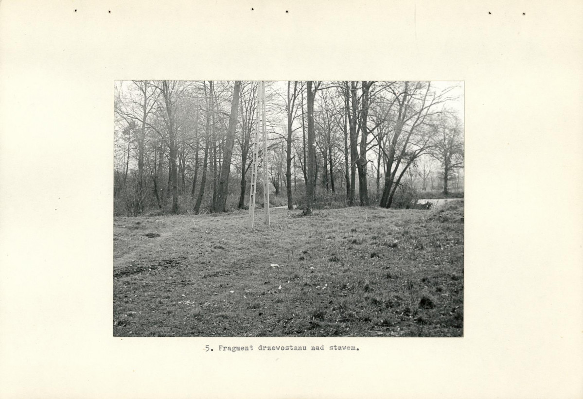 Ewidencja parkowa, skan nr 17