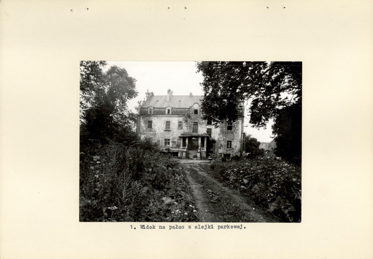 Ewidencja parkowa, skan nr 11