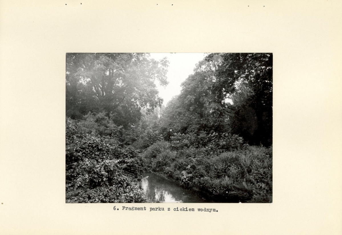 Ewidencja parkowa, skan nr 16