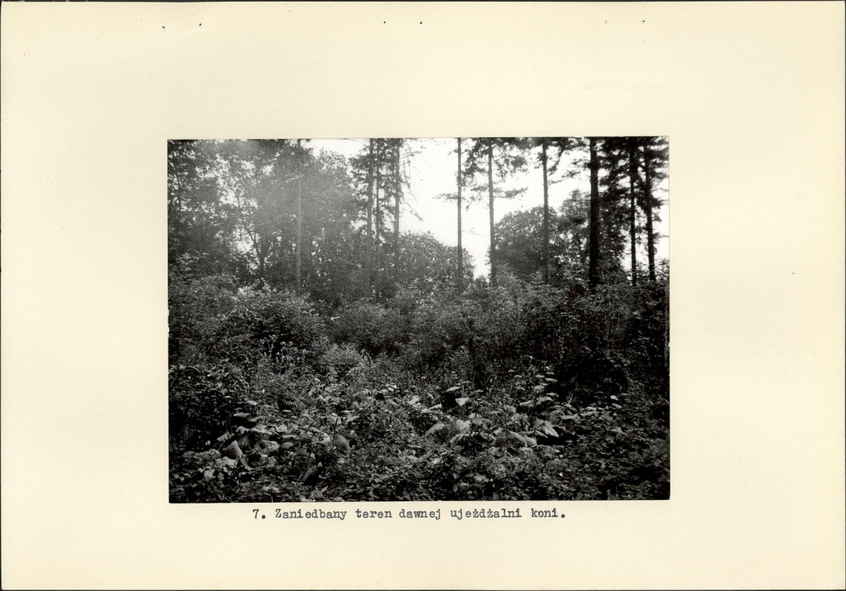 Ewidencja parkowa, skan nr 17