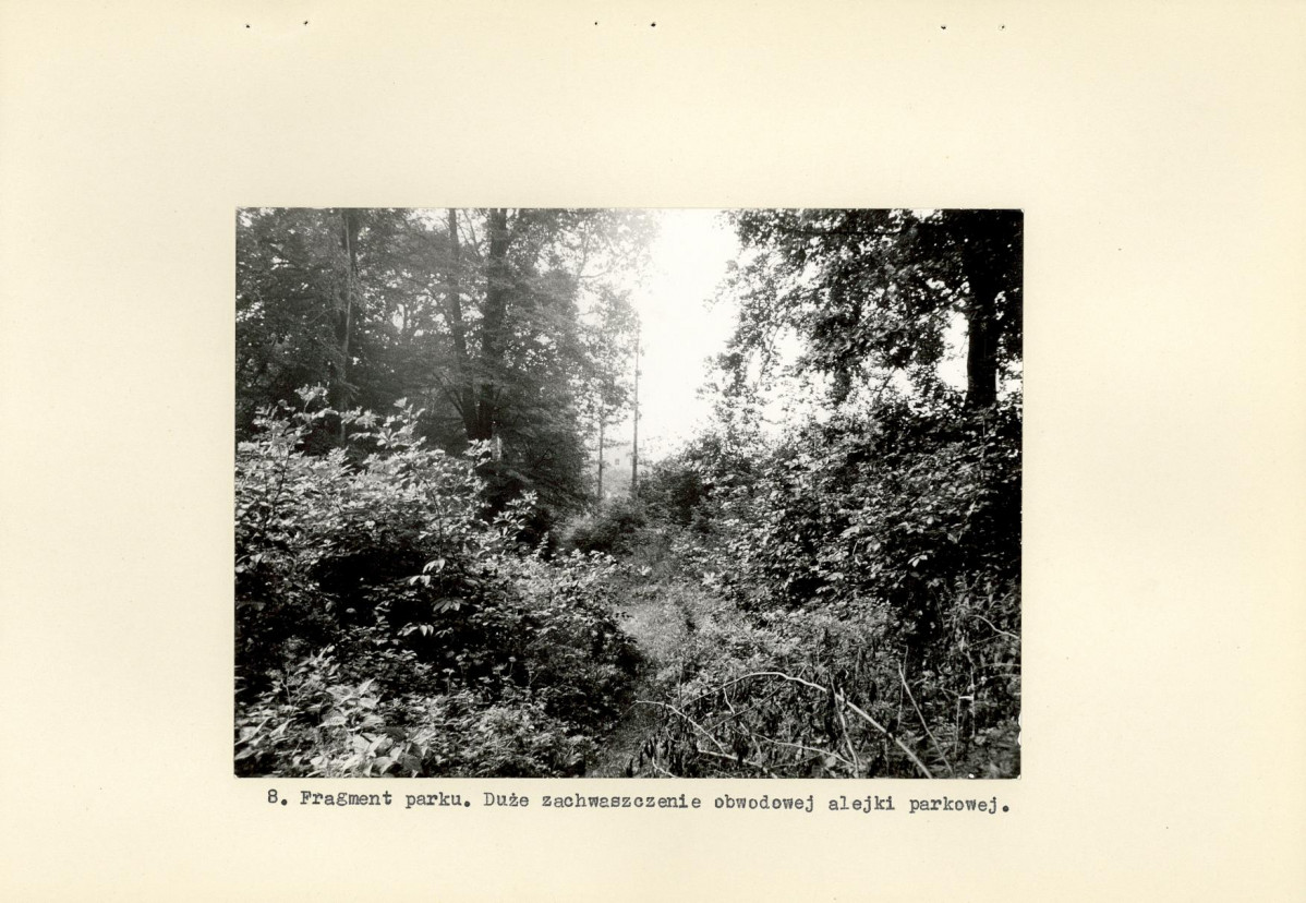 Ewidencja parkowa, skan nr 18