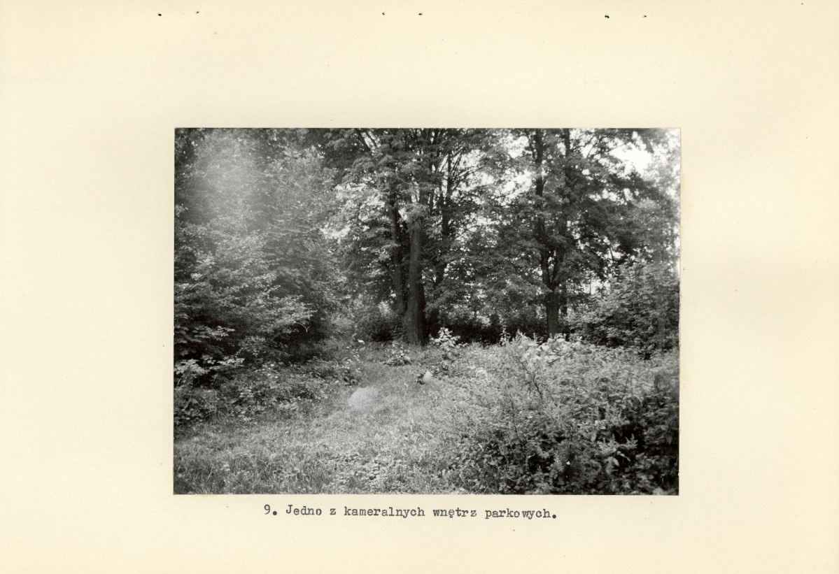 Ewidencja parkowa, skan nr 19