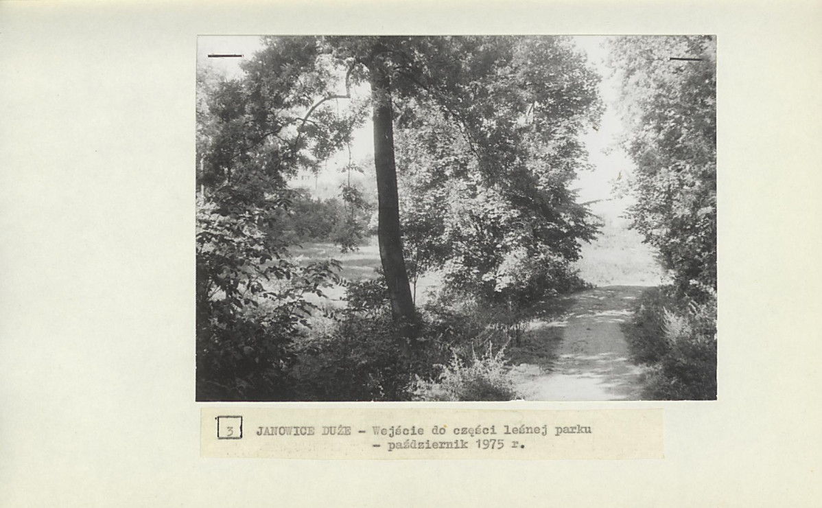 Ewidencja parkowa, skan nr 19