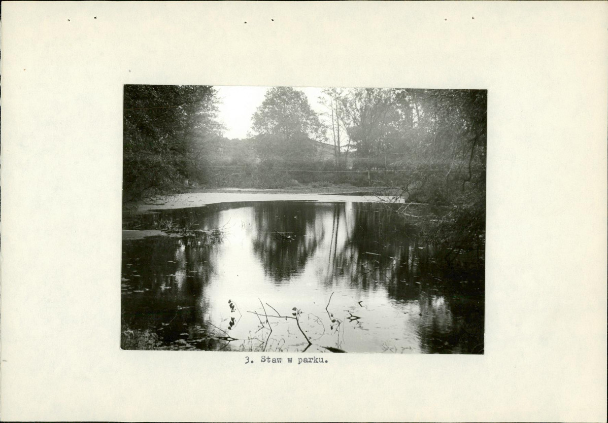 Ewidencja parkowa, skan nr 17