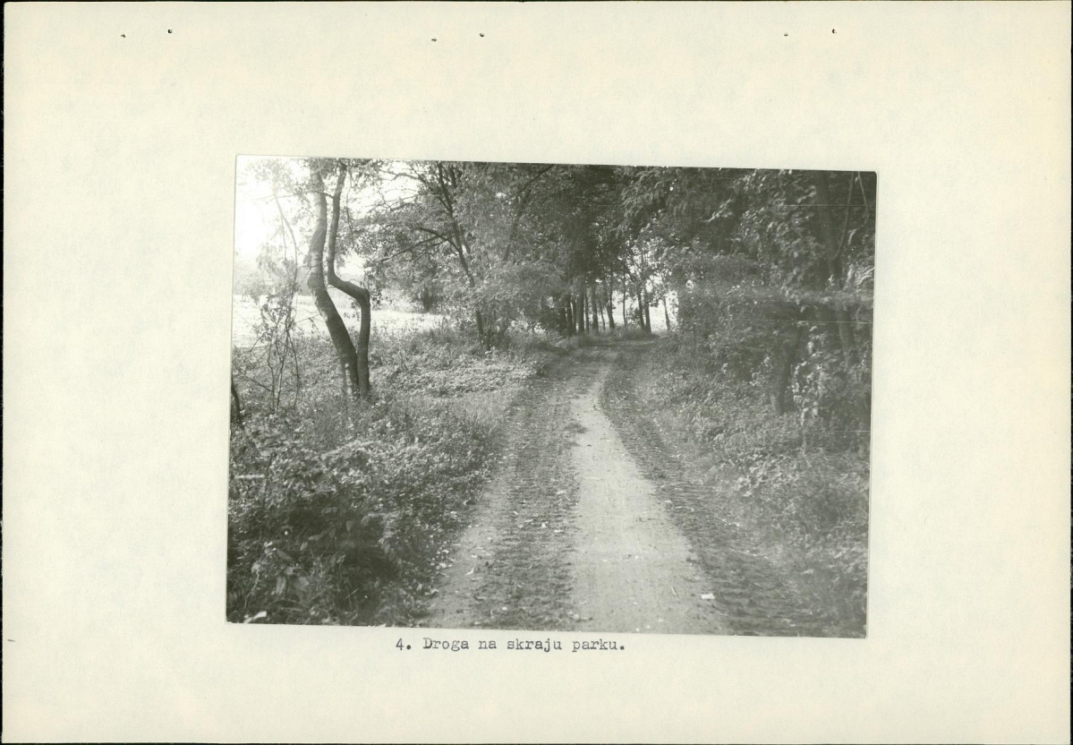 Ewidencja parkowa, skan nr 18