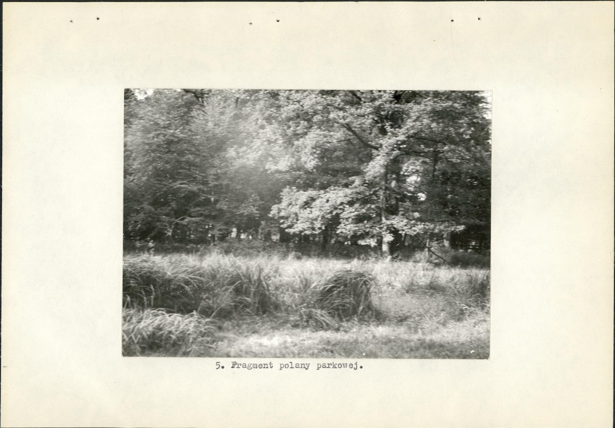 Ewidencja parkowa, skan nr 19