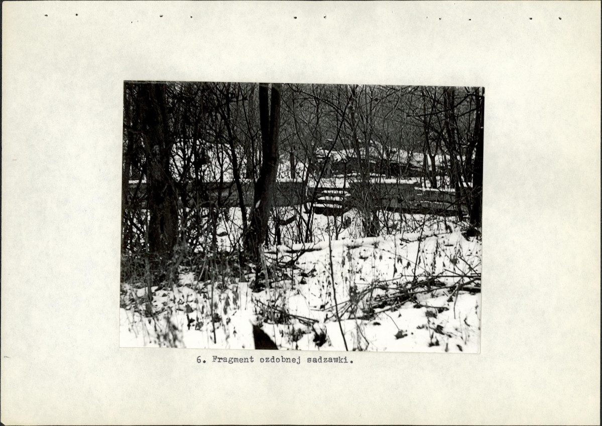 Ewidencja parkowa, skan nr 19