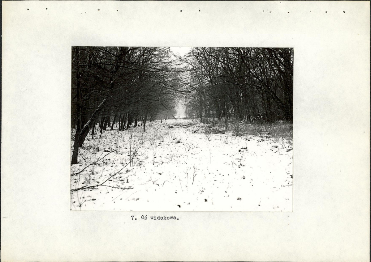 Ewidencja parkowa, skan nr 20