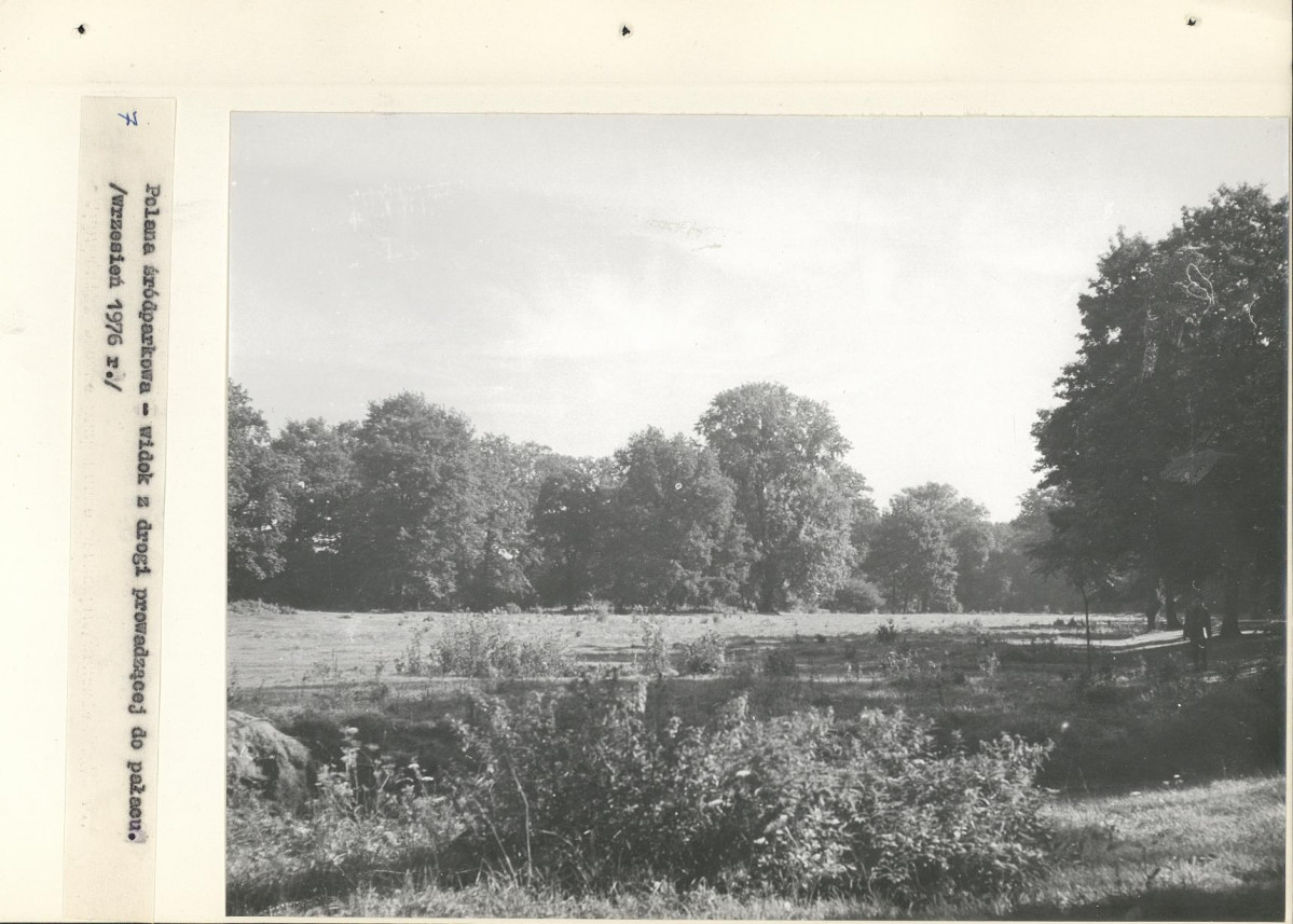 Ewidencja parkowa, skan nr 22