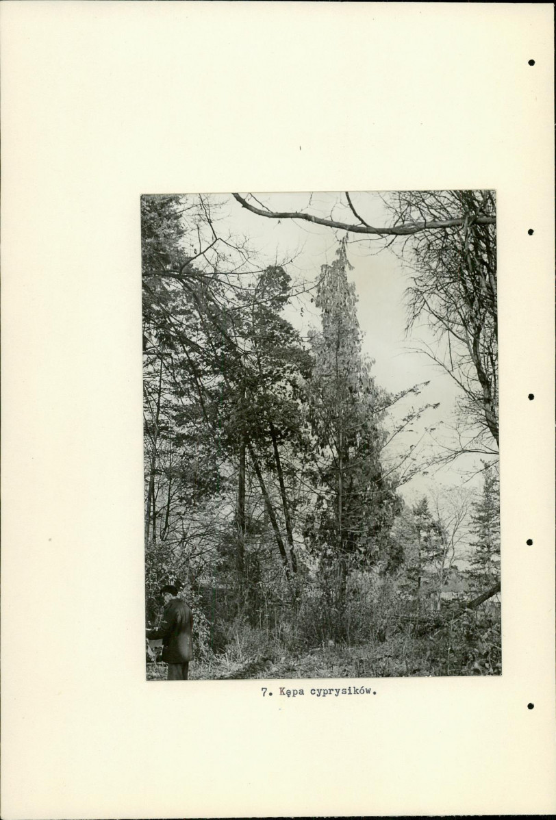 Ewidencja parkowa, skan nr 24