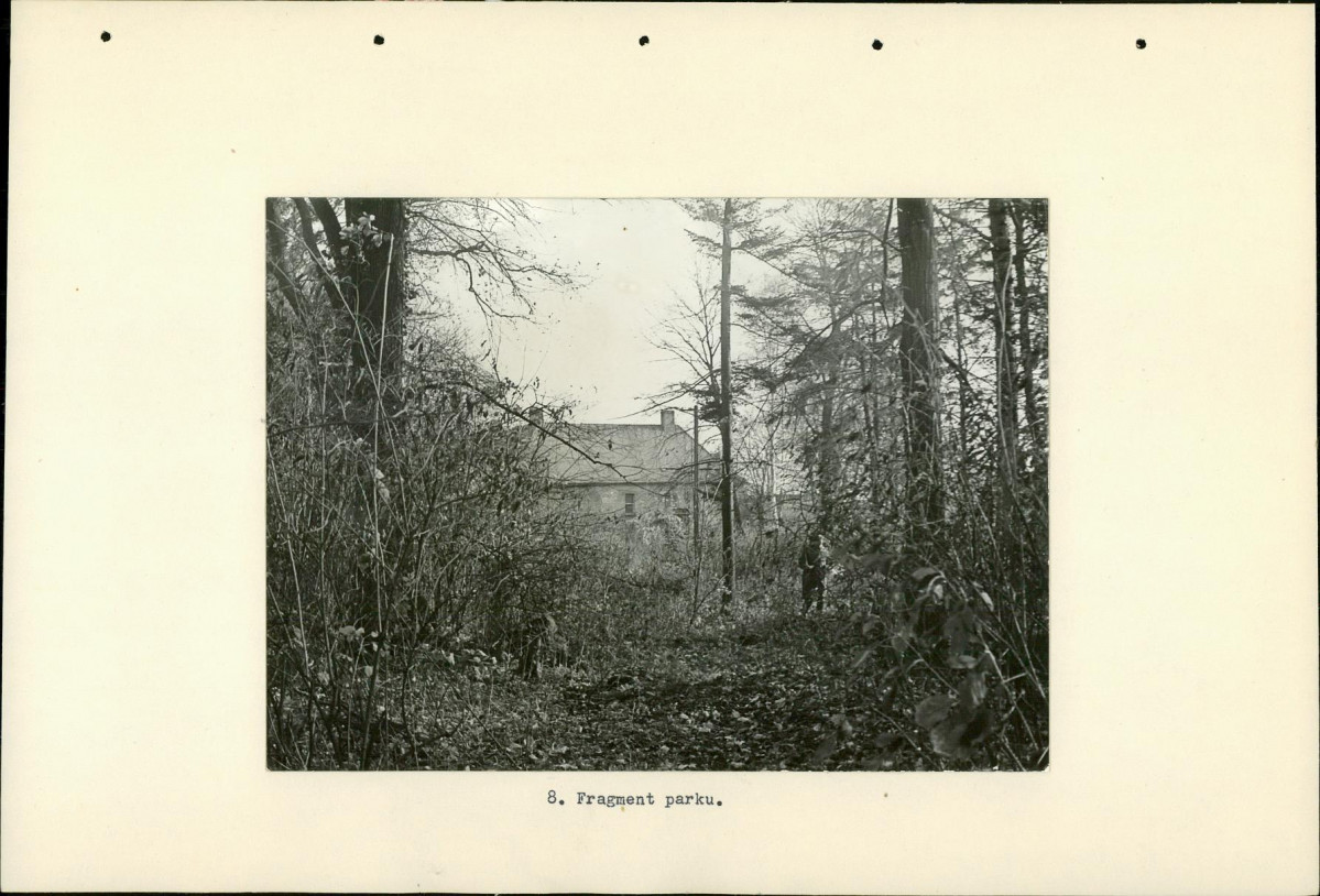 Ewidencja parkowa, skan nr 25